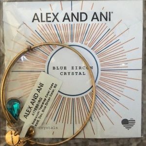 Blue Zircon Crystal - Alex and Ani